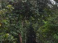 Tn DSC 3989